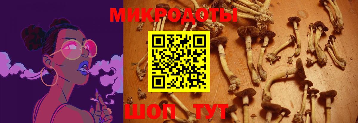 Галлюциногенные грибы Cubensis Тобольск